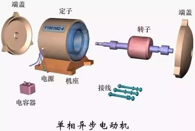 一篇文章,让您弄清交流伺服电机的构造与工作原理_绕组